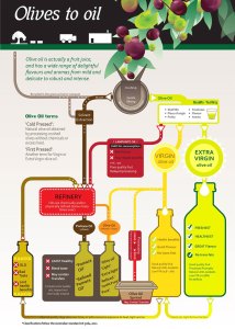 Olive-Oil-Chart